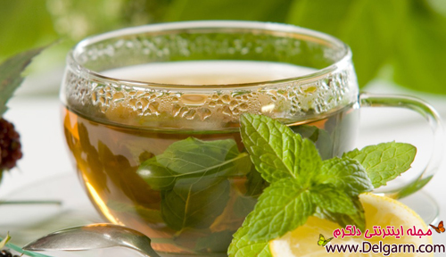 چای سبز و خواص چای سبز