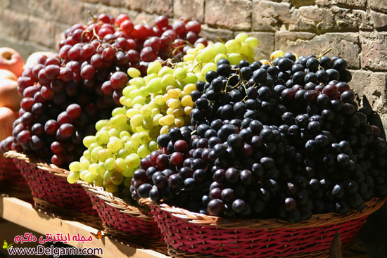 چربی خون بالا