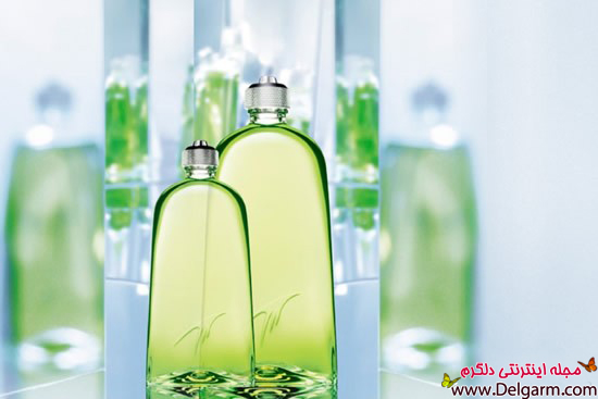 رایحه های شامپویی چیستند