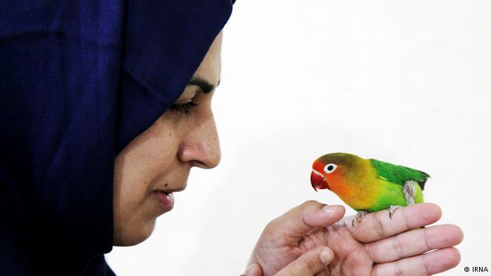 روز جهانی روز جهانی