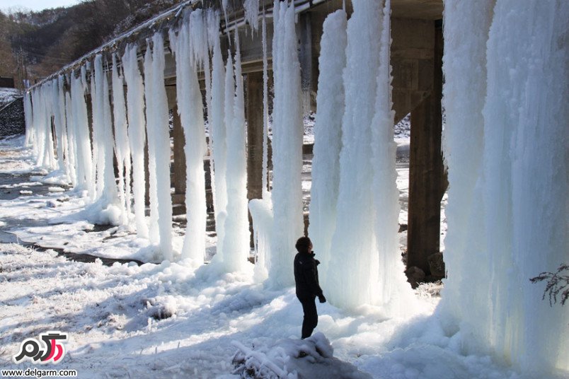 قندیل های بلند یخ و برف در کره جنوبی