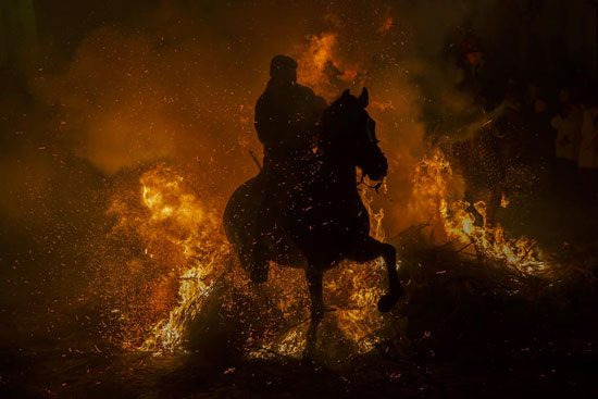 اسب سواری در میان آتش در جشن سالانه لومیناریاس