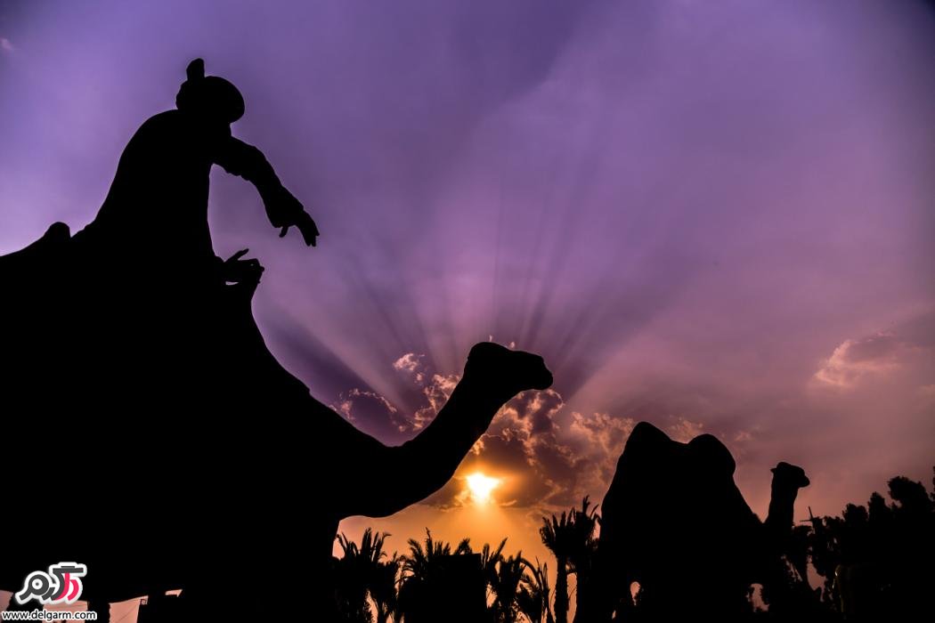 مجسمه شتر و ساربان آن در غروب خورشید در لاهور پاکستان