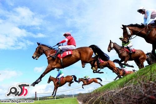 مسابقات اسب سواری در ایرلند