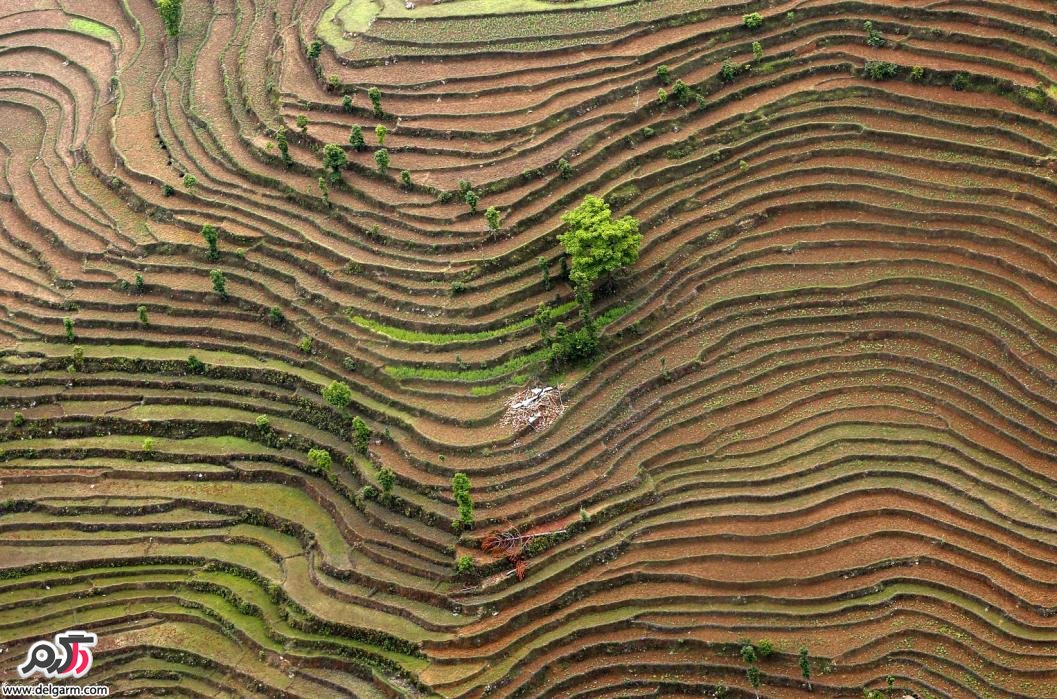 تصویر هوایی از روستایی در نپال پس از زلزله و رانش زمین