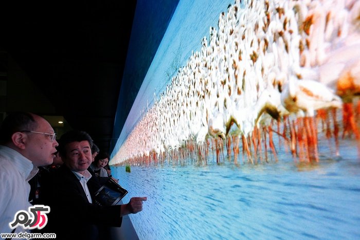 صفحه نمایش سونی به طول 4.2 متر و عرض 7.2 متر در نمایشگاهی در توکیو
