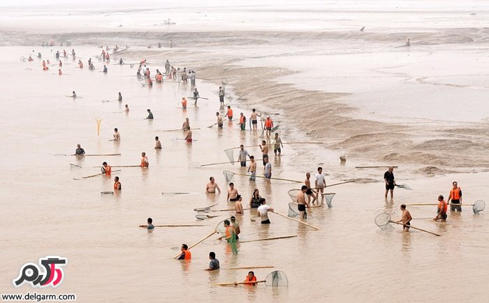 چینی ها در حال ماهیگیری در آبهایی که درا ثر طغیان دریای زرد جمع شده است