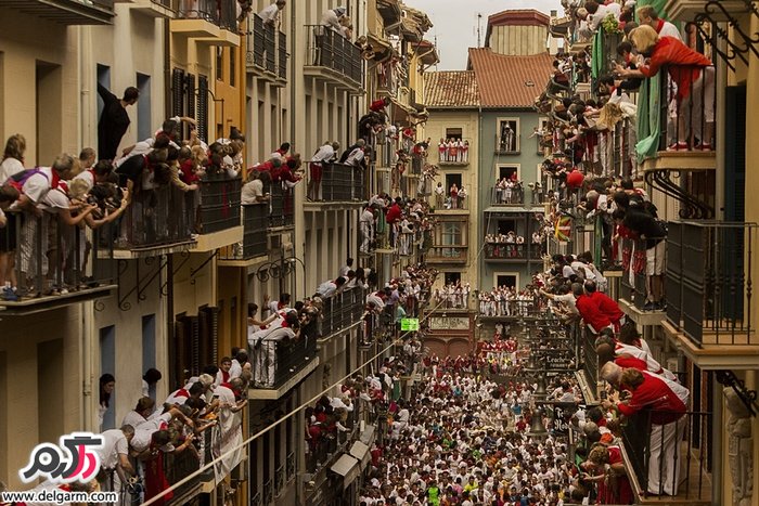 فستیوال گاوبازی در اسپانیا