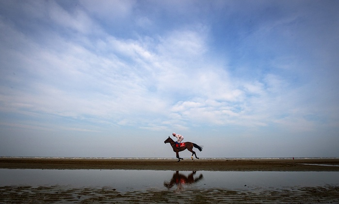اسب سواری در سواحل زیبای ایرلند