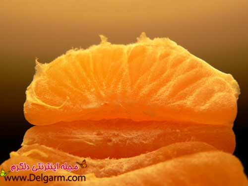 نارنگی میوه ای پاییزی و خواص نارنگی