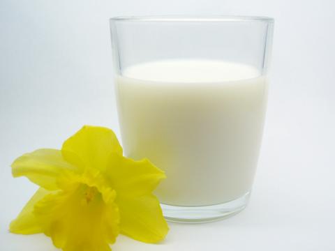 نوشیدن شیر ورم مفاصل زنان را کاهش می دهد