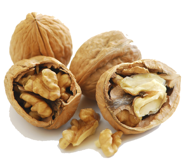 میوه درمانی-گردو و خواص گردو