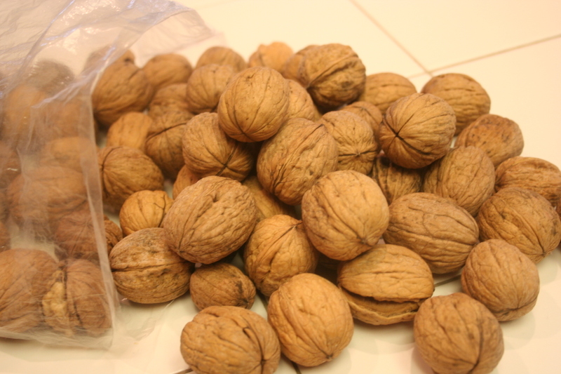 میوه درمانی-گردو و خواص گردو