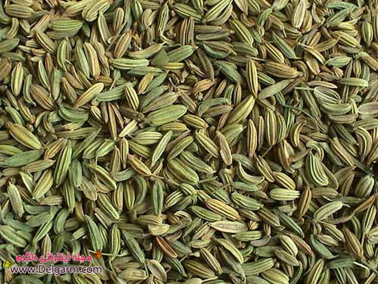 خواص و فواید زیره