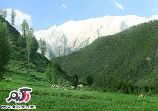 آشنایی با طبیعت زیبای سبز کوه شهرکرد