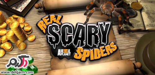 دانلود بازی Real Scary Spiders v1.1.3 برای اندروید