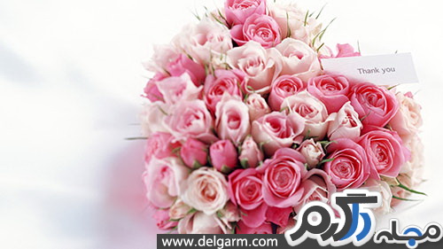 حل اختلافات زناشویی