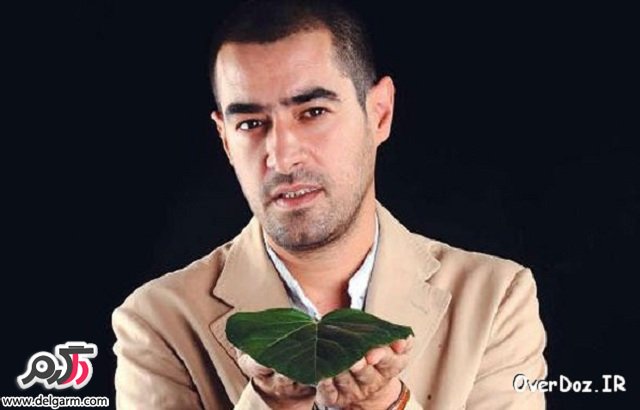 مجموعه عکسهای جدید و زیبای شهاب حسینی/فروردین 93