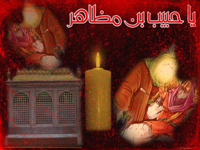 حبیب بن مظاهر