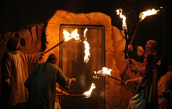 شهادت هانى از دیدگاه تاریخ