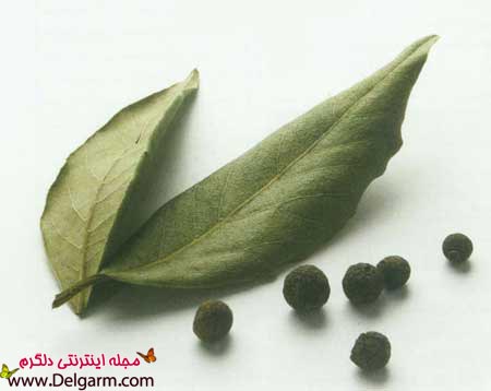 خواص برگ بو ( ادویه گمنام )