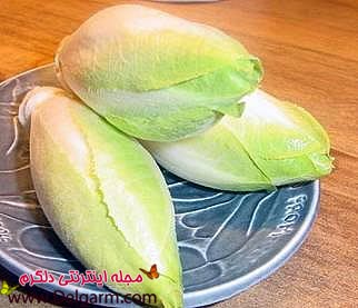 خواص آندیو و خاصیت های نگفته آندیو ENDIVE خواص آندیو و خاصیت های نگفته آندیو ENDIVE