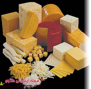 خواص پنیر و خاصیت های جالب پنیر