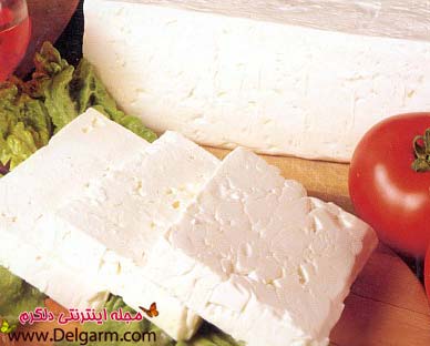 خواص پنیر و خاصیت های جالب پنیر