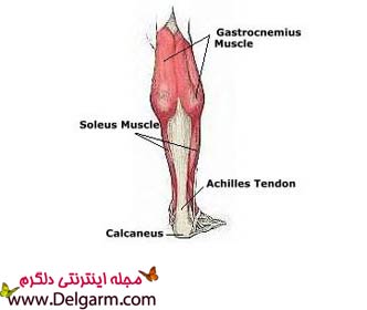 تقویت عضلات ساق پا با ۵ تمرین