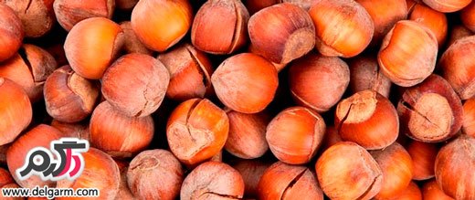 از خواص بی نظیر فندق چه می دانید؟ از خواص بی نظیر فندق چه می دانید؟