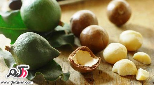 از خواص بی نظیر فندق چه می دانید؟ از خواص بی نظیر فندق چه می دانید؟