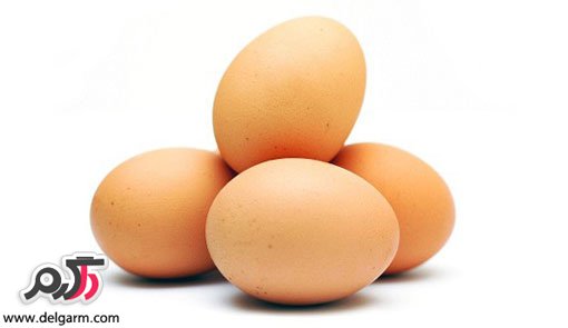 فواید تخم مرغ و دلیل خوردن تخم مرغ برای صبحانه