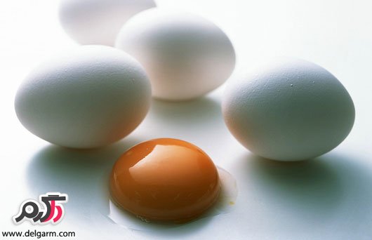 خاصیت زده تخم مرغ چیست؟ سفیده بهتر است یا زرده؟