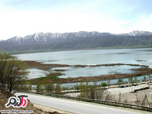 آشنایی با دریاچه زریوار کردستان