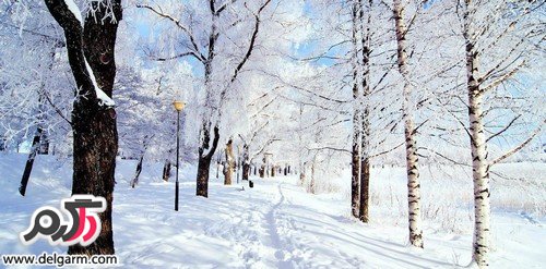 نکات مسافرت در زمستان