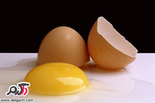 نرم کردن موها با تخم مرغ