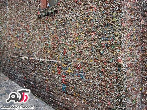 جاذبه های جالب و عجیب آمریکا
