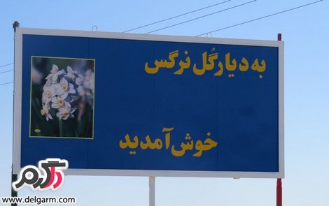 نرگس زار کازرون استان فارس