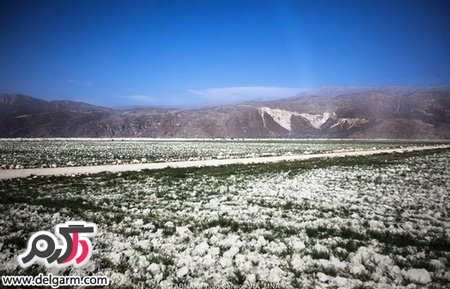 دریاچه پریشان شهرستان کازرون