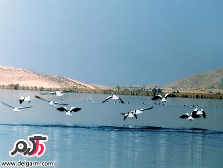 دریاچه پریشان شهرستان کازرون