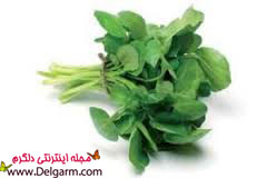خواص شاهی