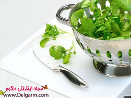 خواص شاهی
