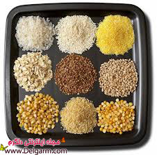 کاهش وزن با این 5 نوع غذا