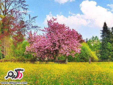 عکسهایی از طبیعت زیبای ایران و جهان