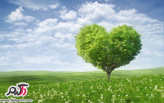 با این روش ها قلب خانم ها بدست بیاورید