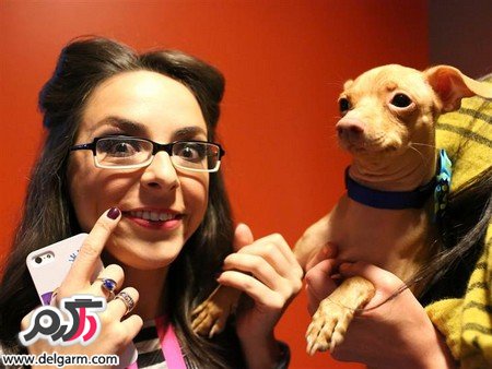 عکس خفن عکس زشت ترین سگ دنیا