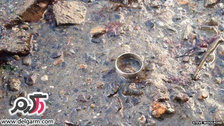 تصاویری از پیدا شدن حلقه ازدواج در دریا