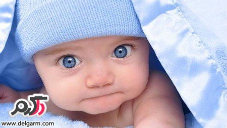 عکس های زیبا و با مزه از نی نی