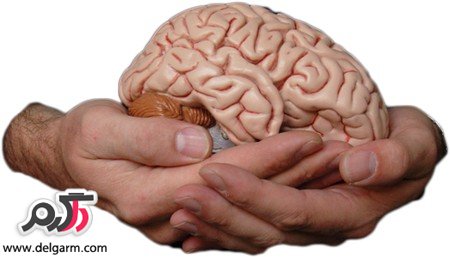 از دلایل کاهش عملکرد مغز چه می دانید؟