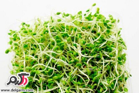 از خواص جالب یونجه چه می دانید؟